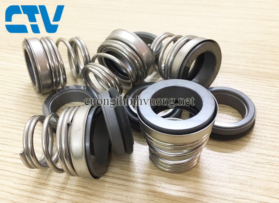 Địa chỉ cung cấp phớt bơm Ebara chính hãng, chất lượng nhất miền bắc