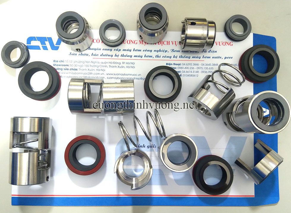 Máy Bơm Bị Hở Phớt: Dấu Hiệu, Nguyên Nhân Và Cách Khắc Phục