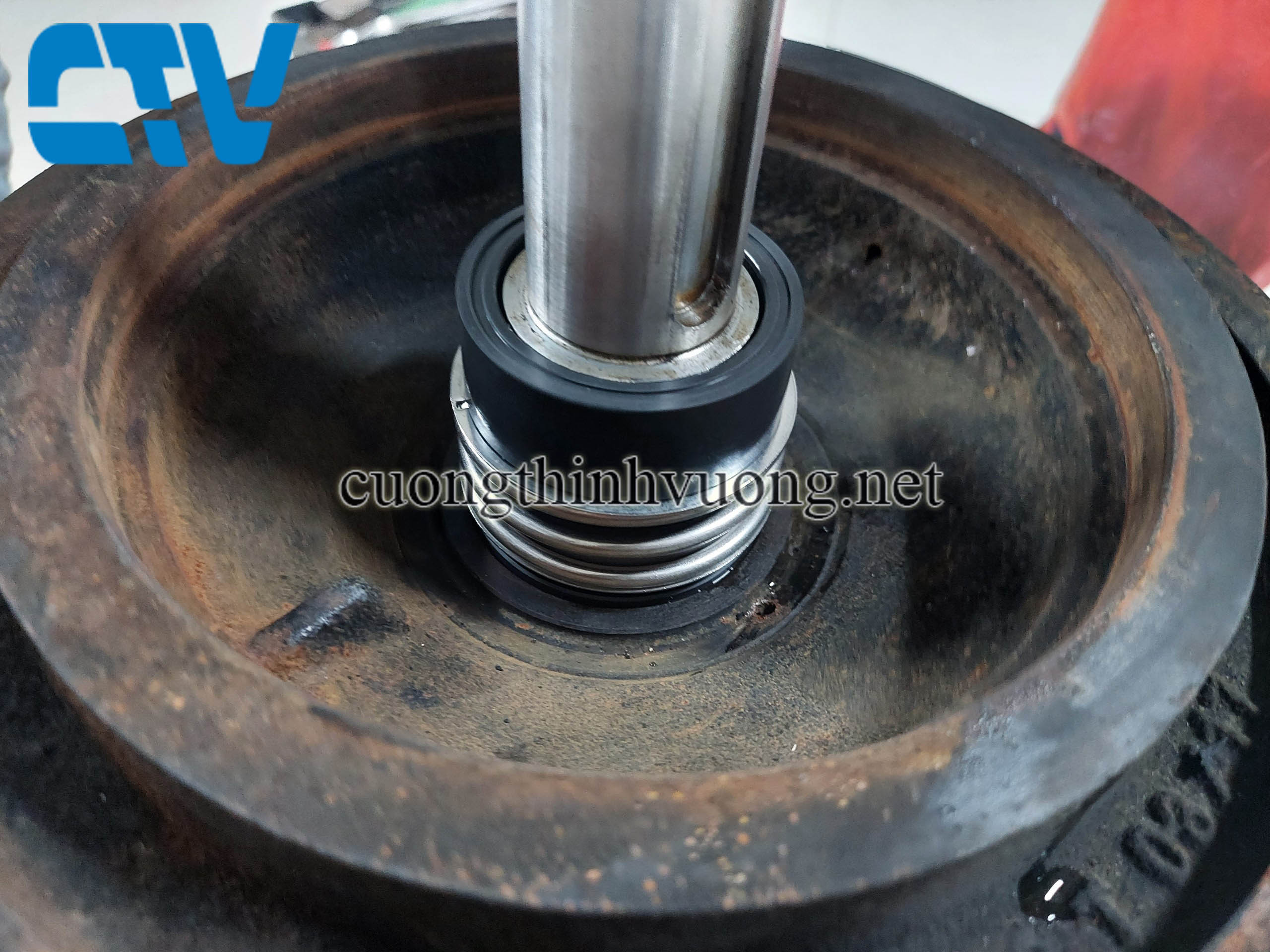 Sửa Bơm Trục Đứng Pentax Bị Rò Nước, Hỏng Phớt Chuyên Nghiệp